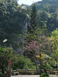 Wulai Falls สัมผัสความงามของธรรมชาติ เดินทางง่าย ใกล้ไทเป⛰️🌳