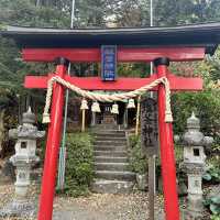 Arakura Fuji Sengen Shrine • Fuji 🇯🇵 Japan