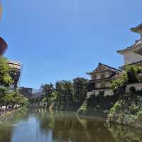 Kokura Castle 🎌⛩️ แห่งเมืองฟุกุโอกะ ญี่ปุ่น