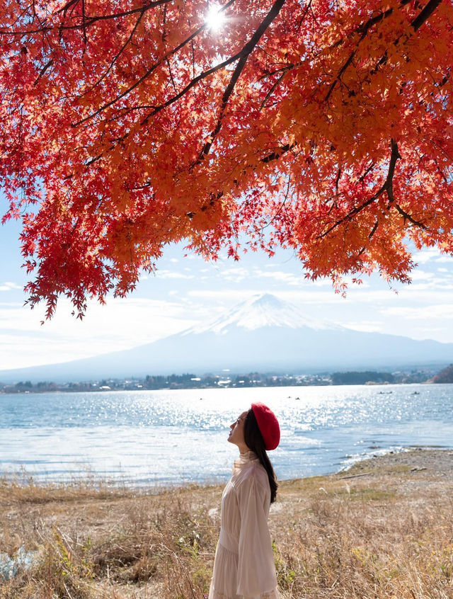 【山梨】富士山×紅葉の絶景🍁