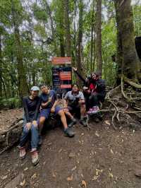 The Beautiful Mount Gede Pangrango🌋🇮🇩