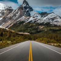 Fall in Love with the Drive to Banff National Park