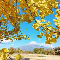 Such a lovely autumn colors with Mt,Fuji!