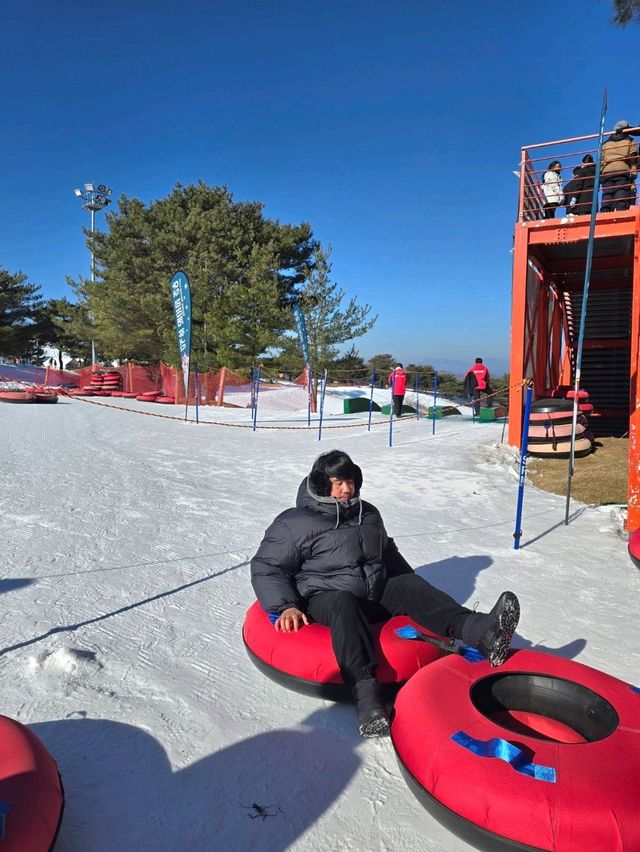 신나는 강원도 겨울여행추천 스노위랜드☃️