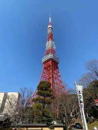 Reach New Heights: Unforgettable Views from Tokyo Tower