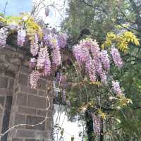 Wangu Tower: Where History Meets the Clouds in Lijiang