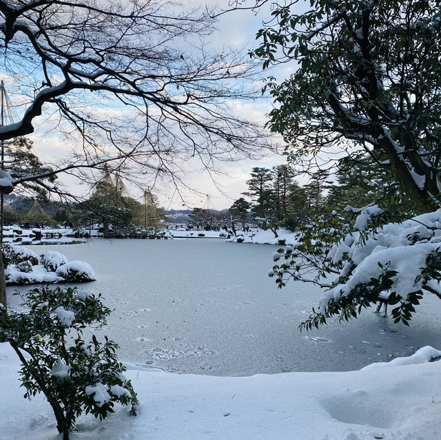 【金沢市🇯🇵兼六園】雪景色に包まれて☺️庭園散策