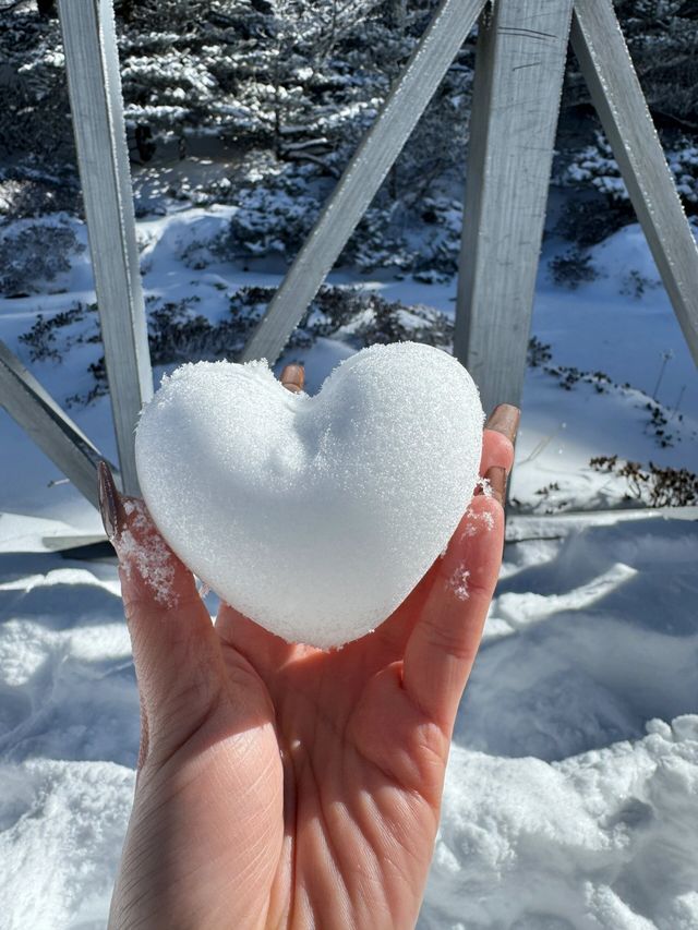 次看到蒼山雪了，感受到了生命的大自在