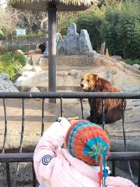 預算500 兩大一小雲南野生動物園親子遊攻略