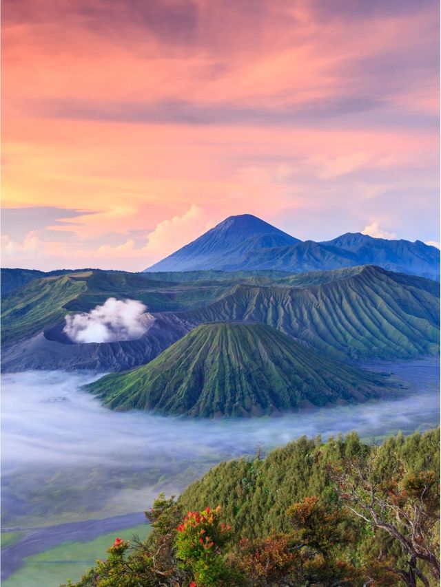 花少同款|火山巴厘岛真的絕美