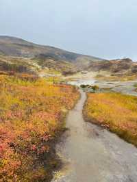 堪察加旅行絕美荒野之危險峽谷間歇泉。