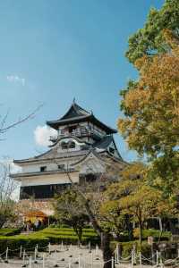 Discover the Timeless Beauty of Inuyama Castle