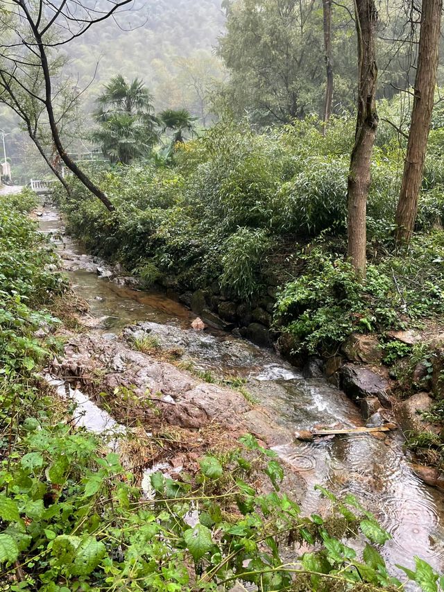 梅坞古道之旅：一場身心舒暢的徒步之行！