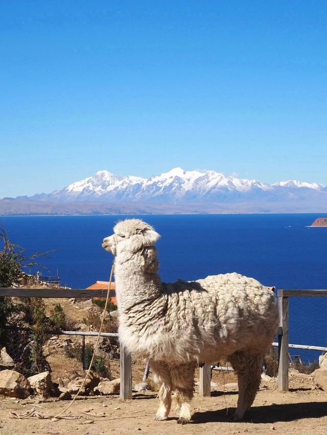 冬遊秘魯等多國 美到窒息的旅行地