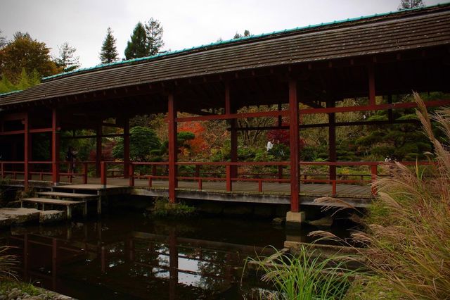 南特日式花園：法蘭西土地上的東方禪意