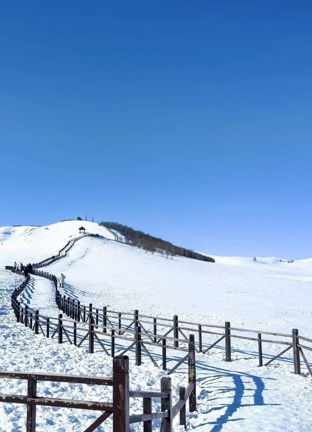 內蒙古烏蘭布統｜南方人夢裡的林海雪原