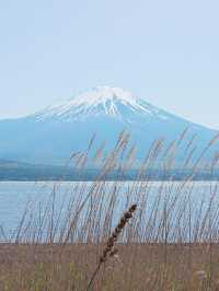 6日日本遊 小長假玩轉浪漫櫻花季