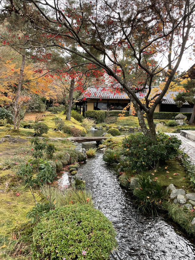 南禪寺 順正