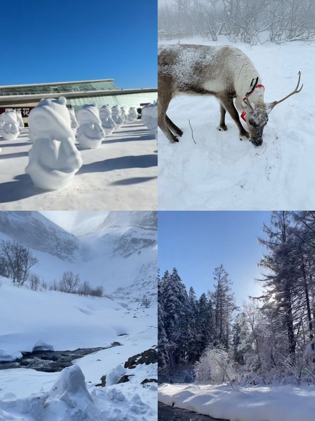 長白山受罪之旅已完結，想去的姊妹請慎重考慮！