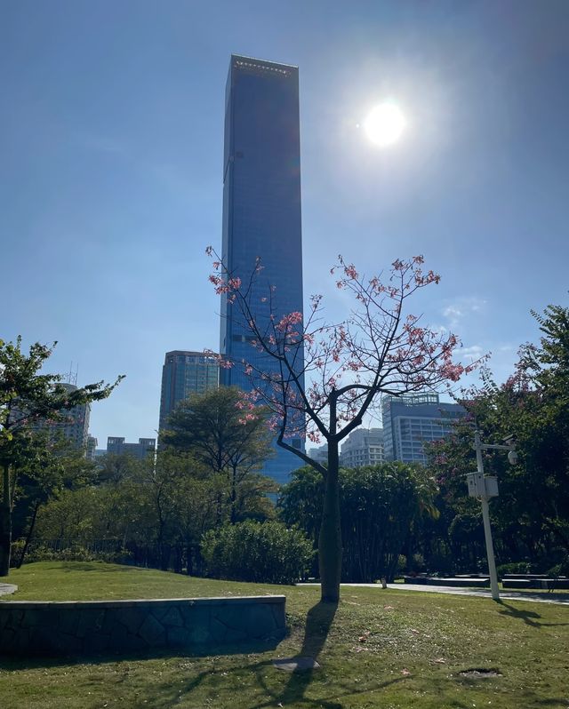 深圳中心公園，都市裡的綠野仙蹤