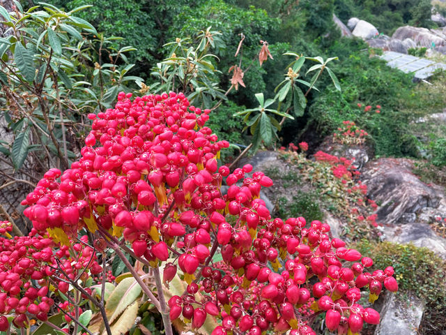 在廈門不止是海，還有這山