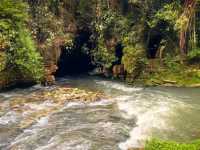 Discover the Magic of Spellbound Glowworm Caves