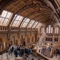 Natural History Museum 