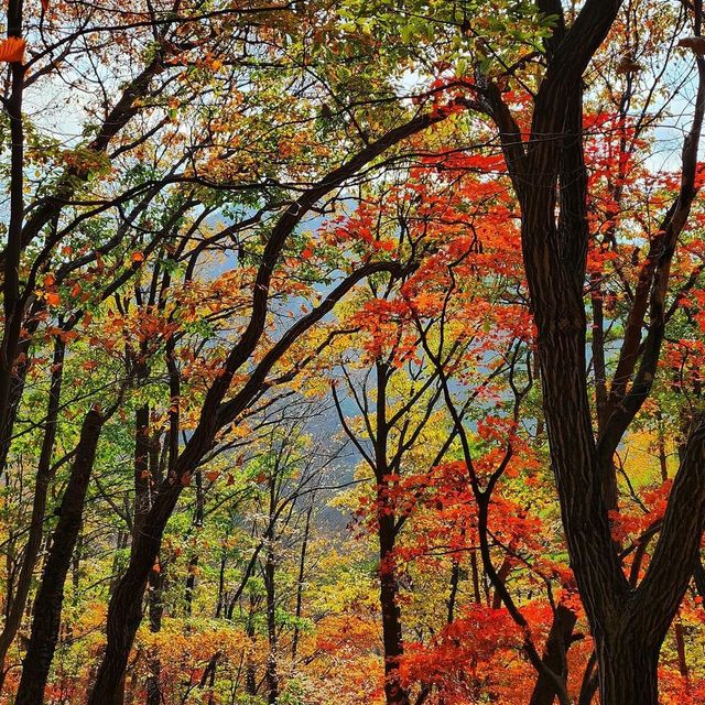 Beautiful Autumn Of Bukhansan National Park 