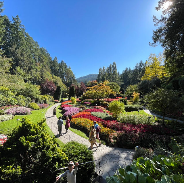 出國必選Trip大神～加拿大維多利亞島布查德花園