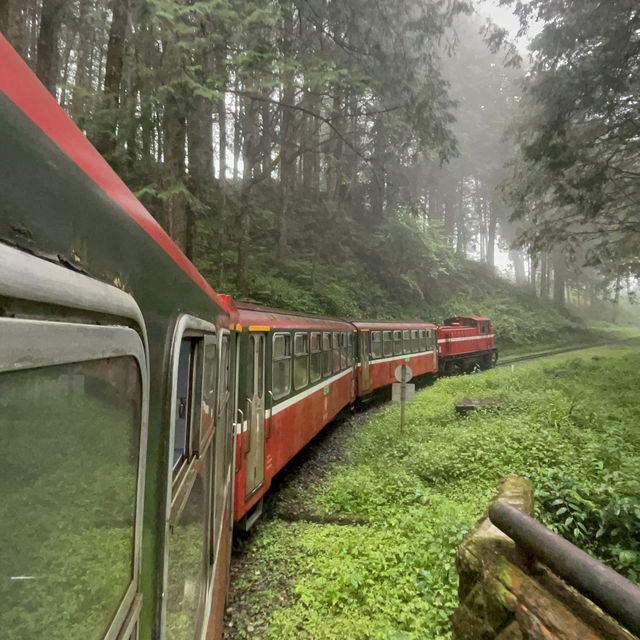 Stunning Alishan✨