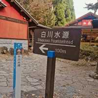 "Rejuvenation in Nature: A Visit to Shirakawa Fountain Head"