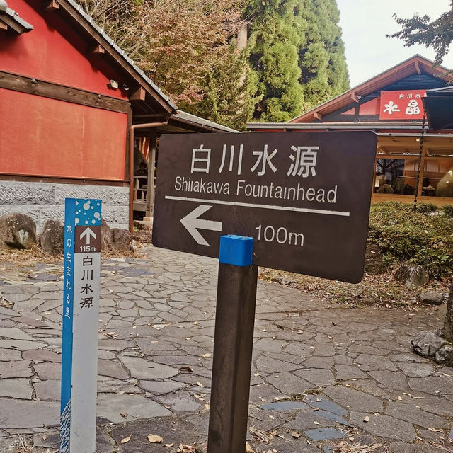 "Rejuvenation in Nature: A Visit to Shirakawa Fountain Head"