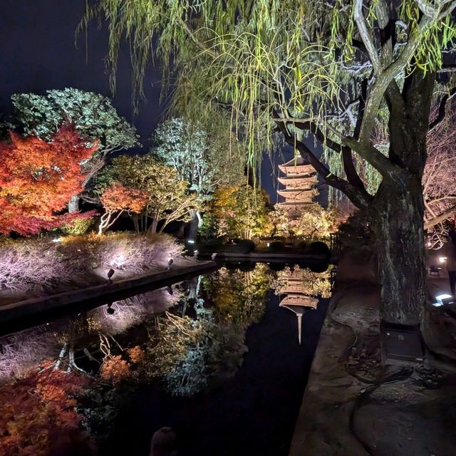 🇯🇵京都「東寺」 倒影如畫的夜楓🍁之旅！