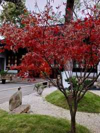 Cultural Gem in Suzhou