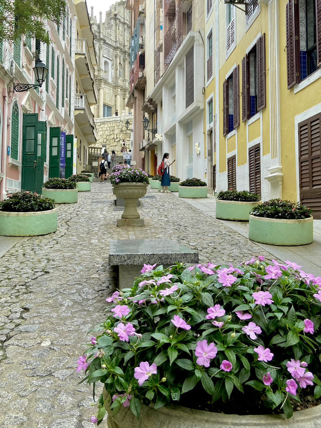 Rua Dos Ervanários: A Walk Through Macau