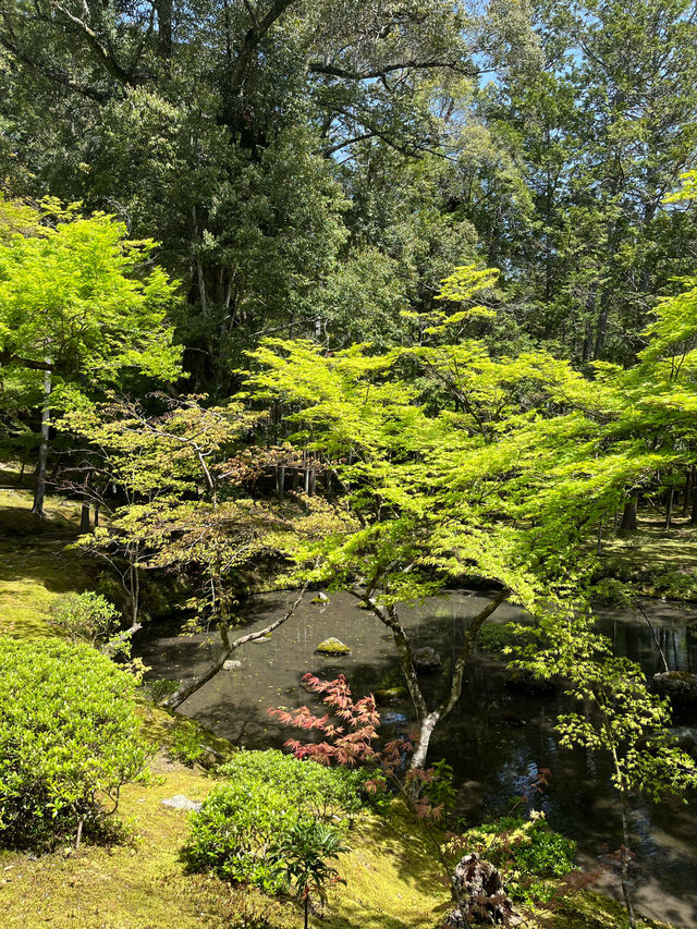 Kyoto｜ Saihōji (Kokedera) Temple, the hidden place of Kyoto