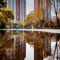 Trees and Reflections of Xi’an 