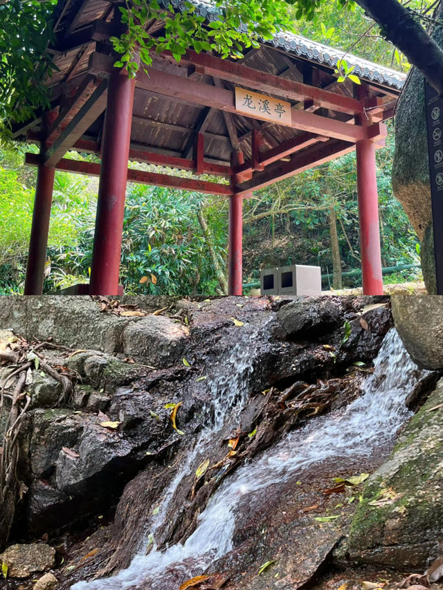 陽台山森林公園(大浪入口)