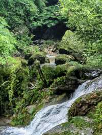 青城後山丨聽勸，一定要去一次