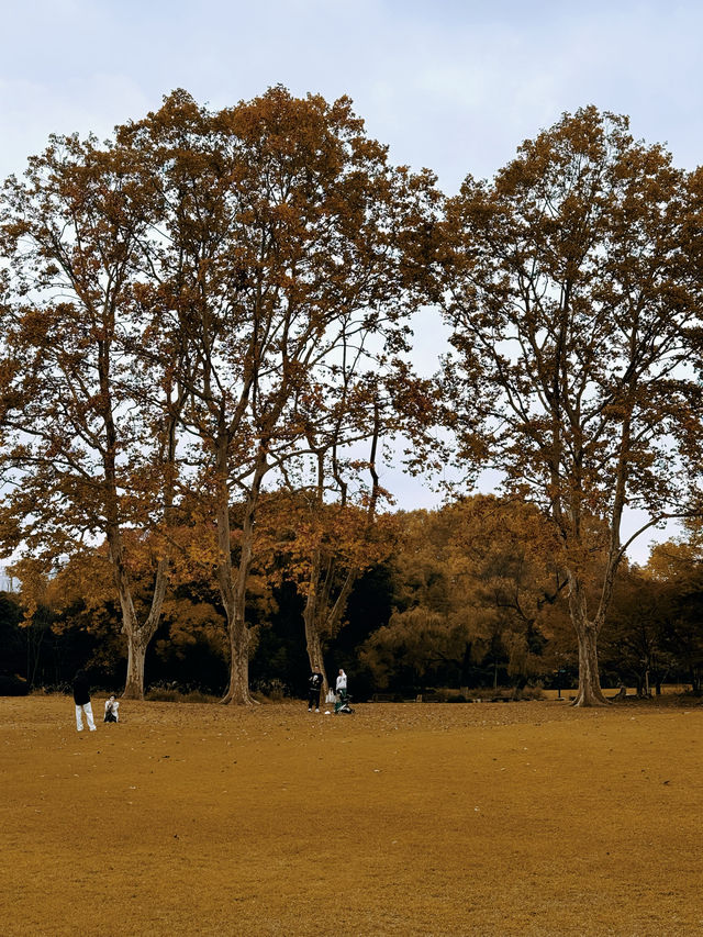 城市攝影｜公園裡的倒數。