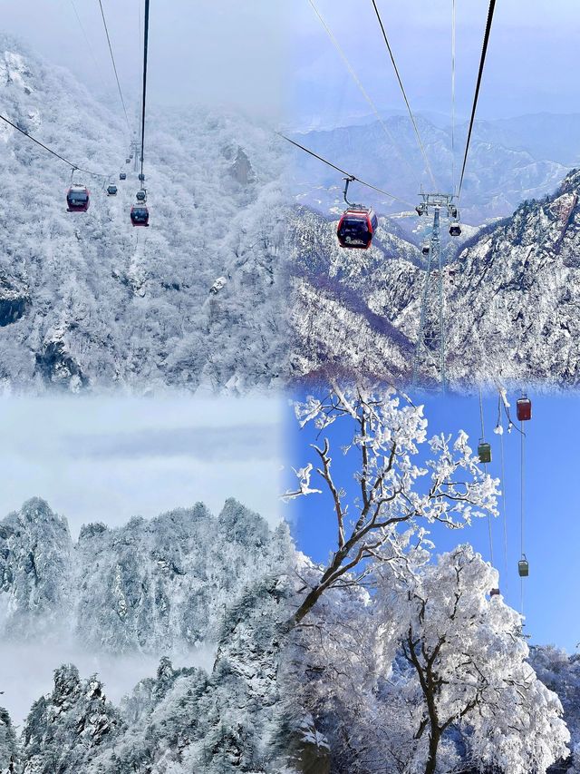 雪落老君山，一步一登天