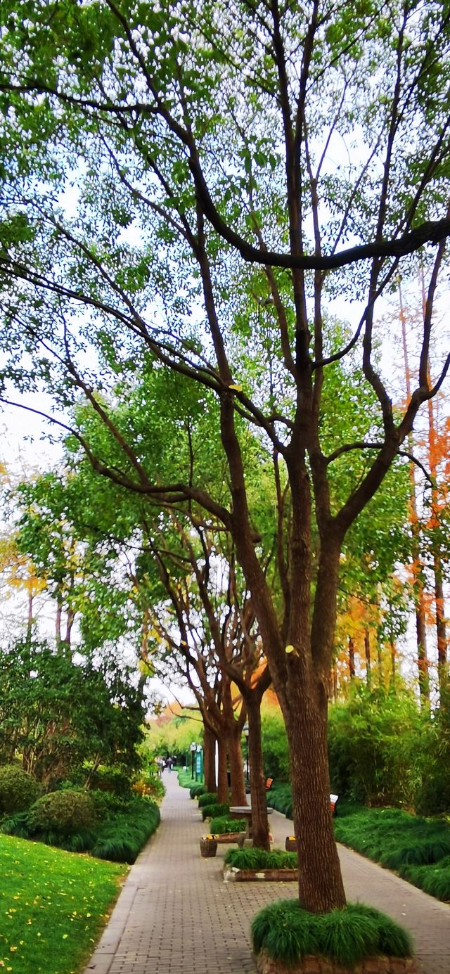 上南公園：川楊河畔的社區公園