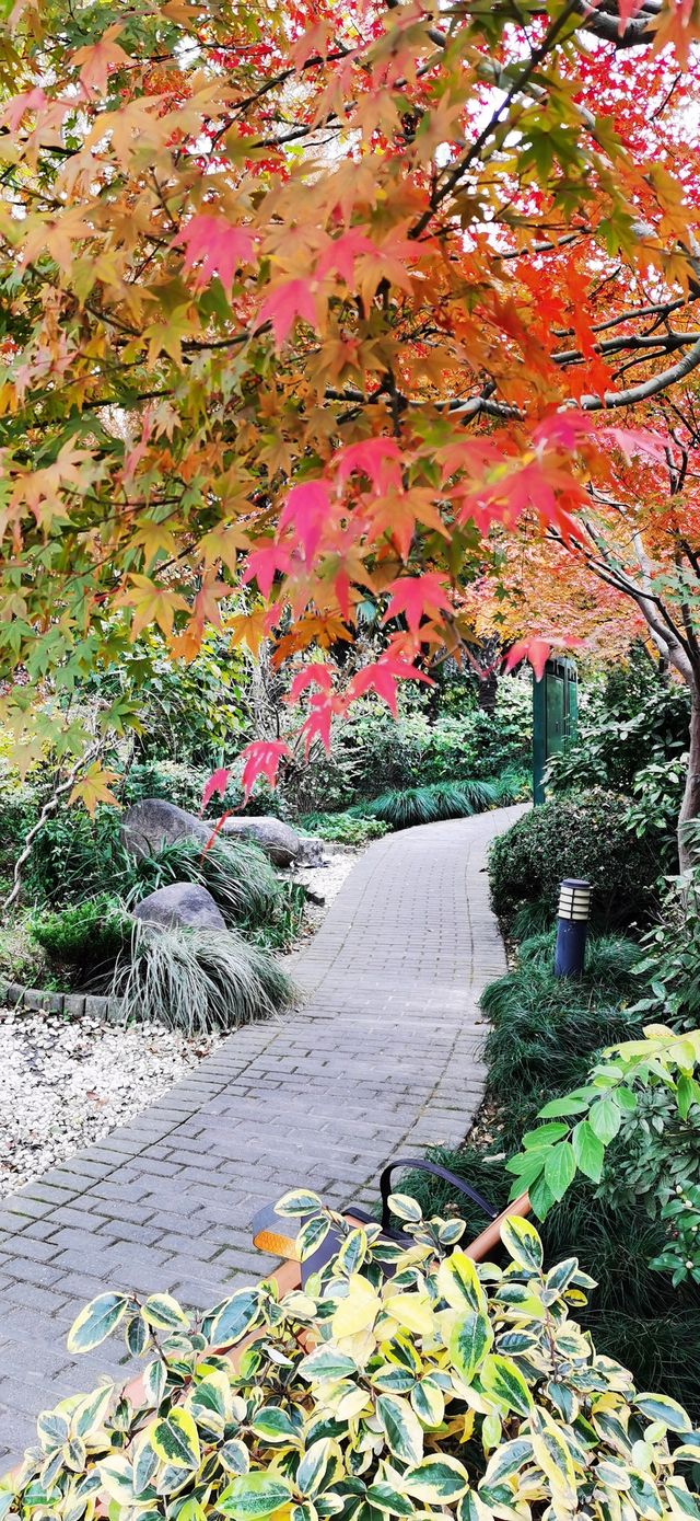 上南公園：川楊河畔的社區公園