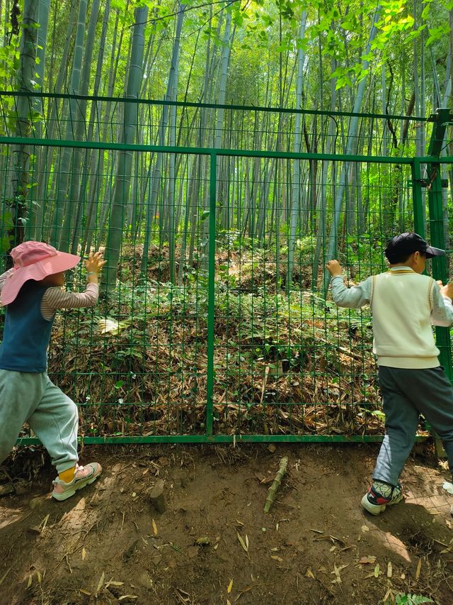 佘山國家森林公園