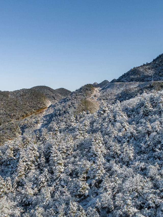 重慶小瑞士武陵山也下雪啦！