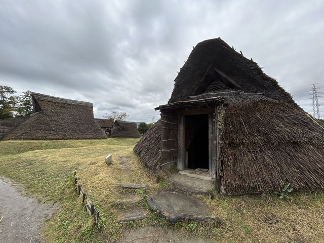 【静岡】教科書に載ってた場所！登呂遺跡をご紹介