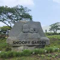 韓國｜濟州島 ❤️Snoopy天堂❤️粉絲必去！