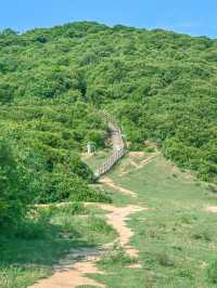 塔門島，母愛的夏日祭典