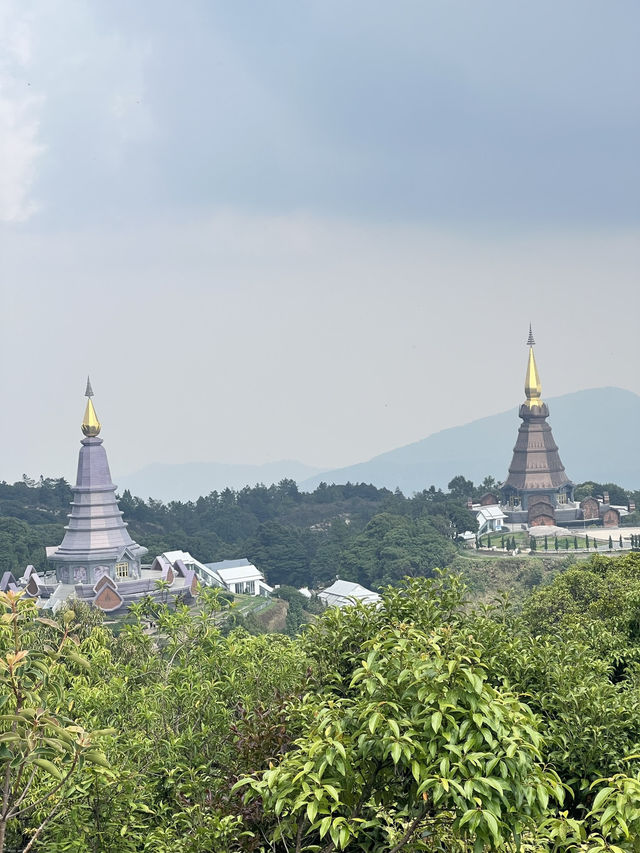 Trekking Day At Doi Inthanon National Park (Kew Mae Pan Nature Trail) ⛰️🍃