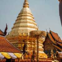 Ascending to Serenity: A Day at Wat Phra That Doi Suthep